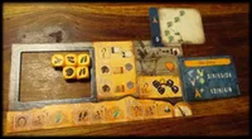 Player's Board