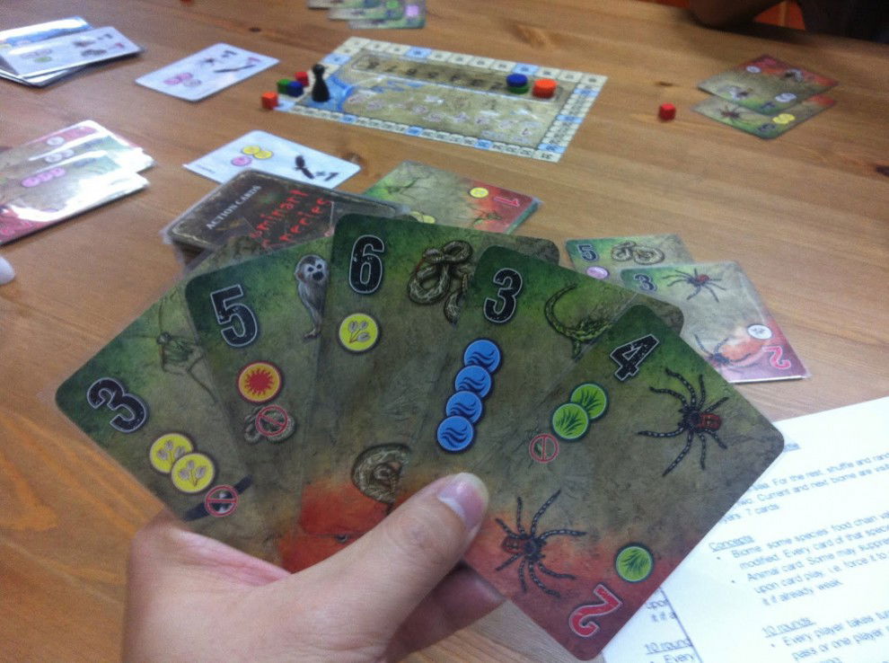 Cards in Hand