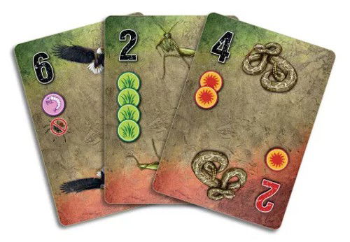 Animal Card