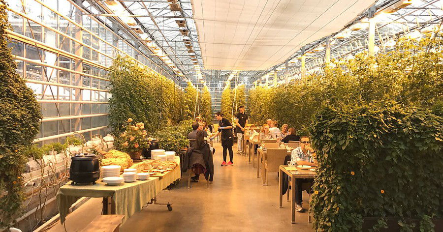 Friðheimar Greenhouse