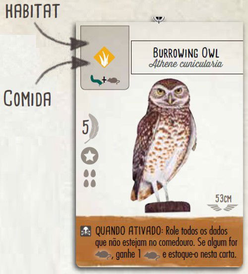Requirement to play a Bird Card