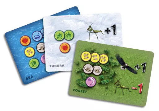 Biome Cards