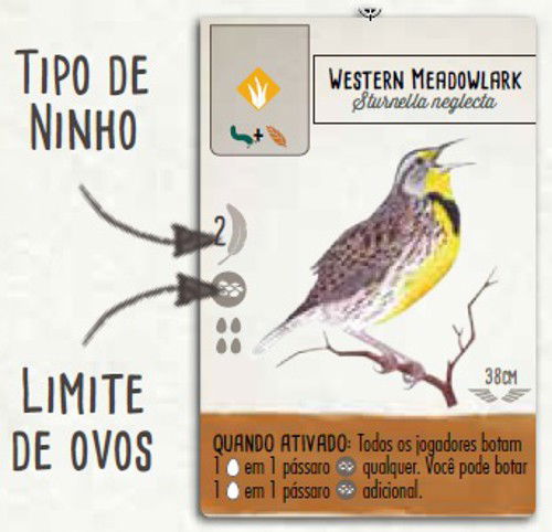 Bird Card with Egg limit and Nest requirements