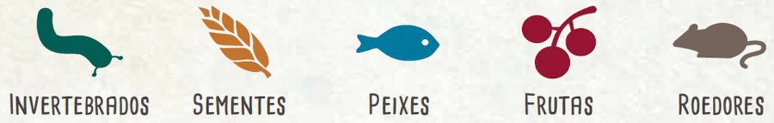 Food Icons