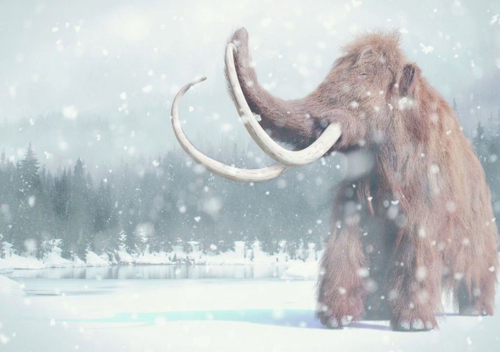 The Ice Age