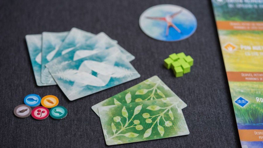 Choose 5 to keep from your bird cards and food tokens