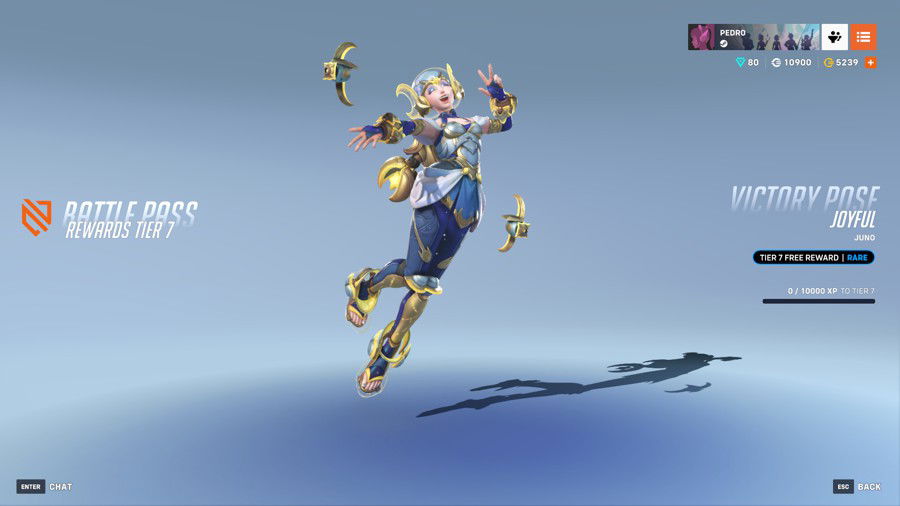Victory Pose - Joyful